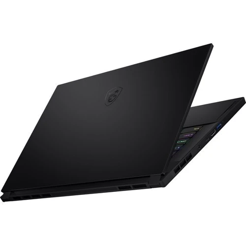 Ноутбук MSI GS66 Stealth 10SE (GS6610SE-630CZ) RB: Тип экрана матовый