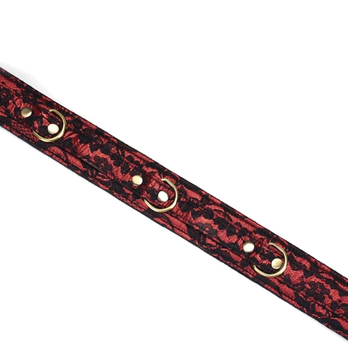 Ошейник с поводком Liebe Seele Victorian Garden Collar with Leash