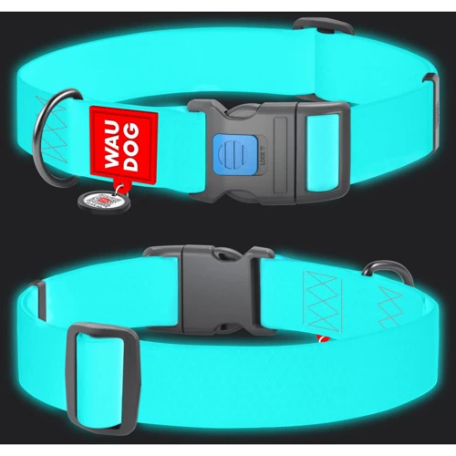 Ошейник для собак WAUDOG Waterproof c QR паспортом светонакопительный пластиковый фастекс XXL 40 мм 46-70 см ментоловый (2509): Длина 46-70 см