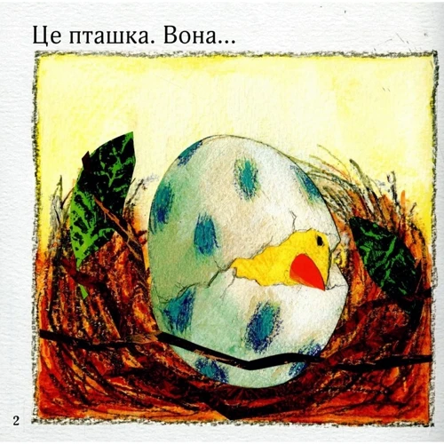 Петр Горачек: Пташка стрибає – пташка летить!: Обложка Мягкая