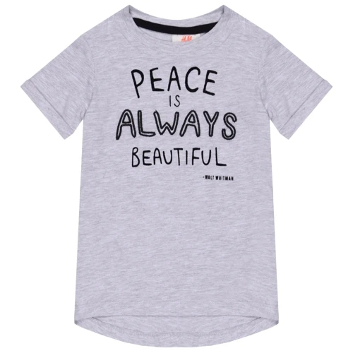 Футболка H & M 7Z6324957-653983 122-128 см сіра