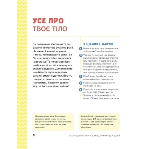 Кеті Стокс: Тіло людини. Книжка з розвивальними завданнями для дітей: Автор Кэти Стокс