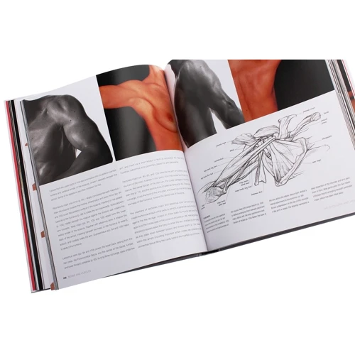 Sarah Simblet: Anatomy for the Artist: Автор Сара Симблет