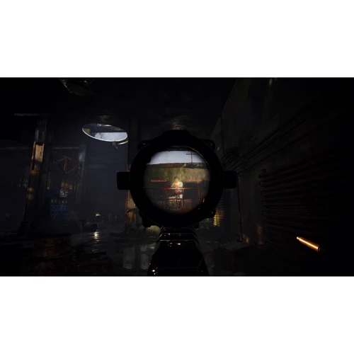 S.T.A.L.K.E.R. 2: Heart of Chornobyl Limited Edition Xbox Series X (1072021): Серия приставки Xbox X
