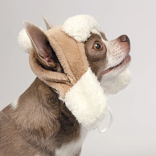 Шапка для собак Pet Fashion BUBO XS бежевая: Тип Шапки