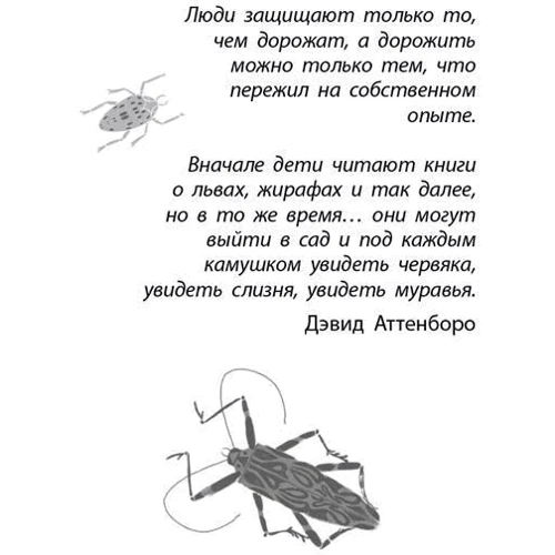 Майя Леонард: Фабр. Битва жуків: Виробник Робінс