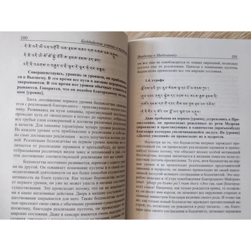 Чандракирти: Буддийское учение о пустоте. Введение в Мадхьямику: Жанр Эзотерика. Оккультизм