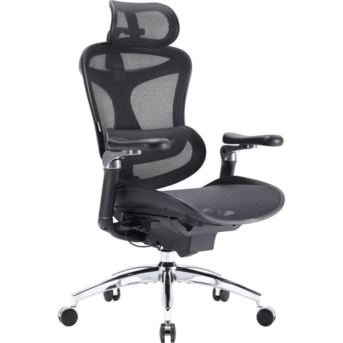 Офисное кресло Sihoo DORO C300 Pro Mesh Black (DORO-C300-PRO-M101)