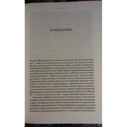 Пітер Гай. Фрейд: Виробник Колібрі