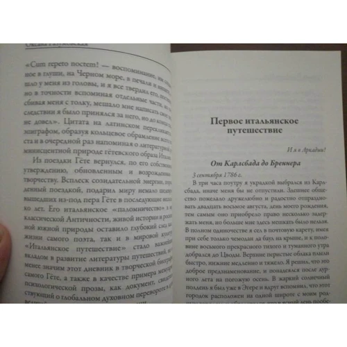 Иоганн Гете: Итальянское путешествие: Обложка Мягкая