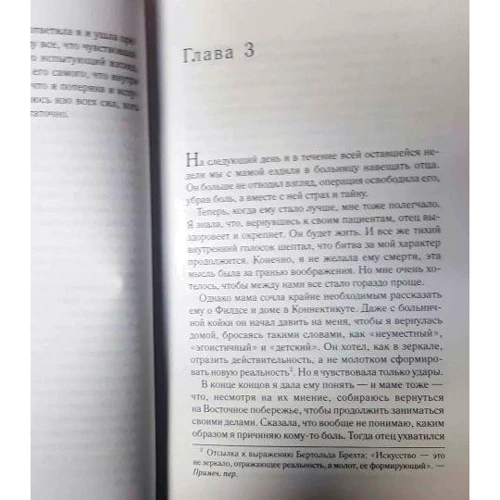 Пола Маклейн: Любовь и пепел: Количество страниц 448