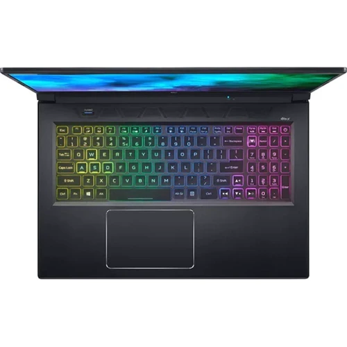 Ноутбук Acer Predator Helios 300 PH317-55-55W9 (NH.QB6EX.001): Экран 17.3 " (1920x1080)
