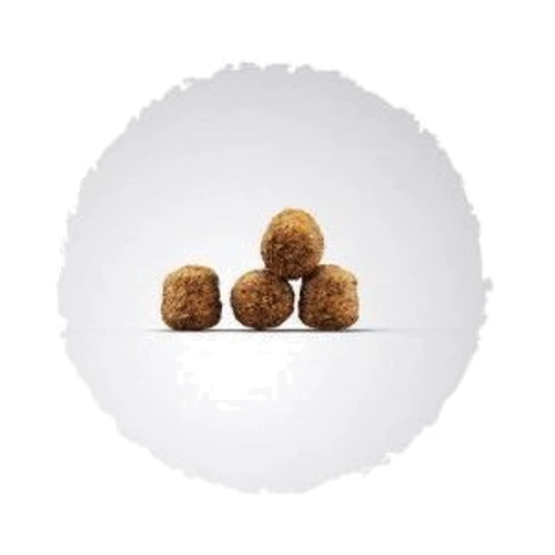 Сухий корм для собак Josera Family Plus з лососем для сук та цуценят 12.5 кг (50012845): Тип Сухой корм