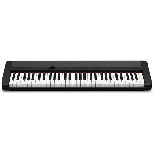 Синтезатор CASIO CT-S1-76BK (363318): Тип Профессиональные