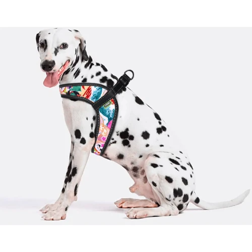 Шлея HiDog Comfort Japan 36-42 см S разноцветная (137\1015) фото 5