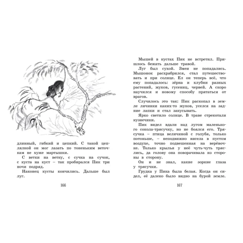 Виталий Бианки: Лесные сказки и рассказы (иллюстр. Е. Рачёва): Обложка Твердая