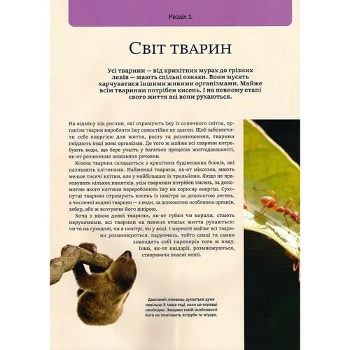 Клаудія Мартін: Велика книга тварин: Автор Клаудия Мартин