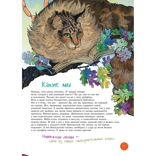 Сергій Юрський: Я кіт: Виробник Паблішер