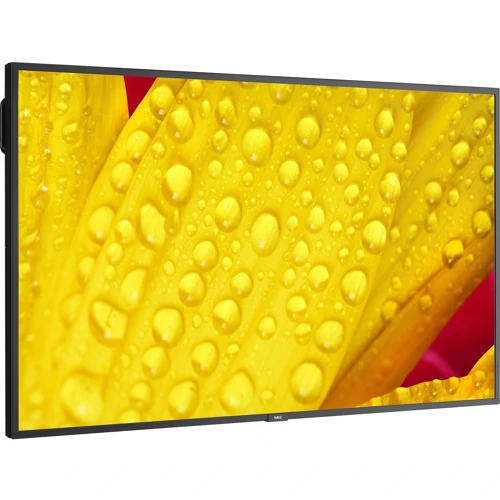 Монитор NEC MultiSync ME501 (60005053): Покрытие экрана антибликовое
