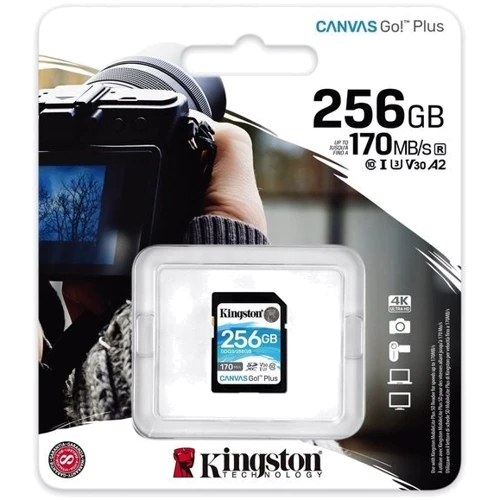 Карта пам'яті Kingston 256GB SDXC class 10 UHS-I U3 Canvas Go Plus (SDG3/256GB): Обсяг 256 ГБ