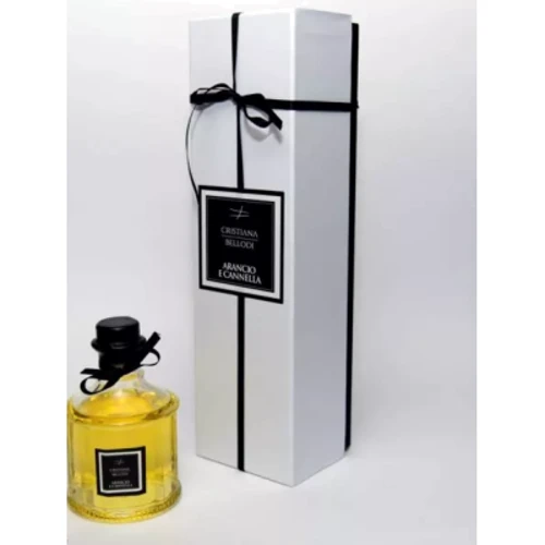 Аромадиффузор для дома Cristiana Bellodi Orange And Cinnamon CBP168 250 ml фото 1