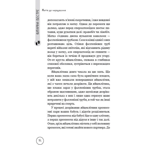 Катаріна Вестре: Життя до народження: Автор Катарина Вестре
