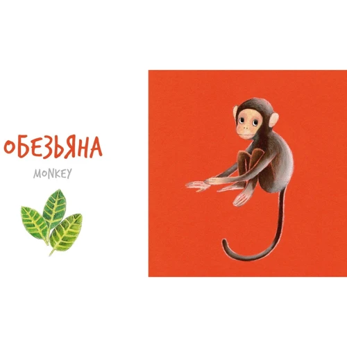 Катерина Таберко: Тварини Африки: Обкладинка Тверда