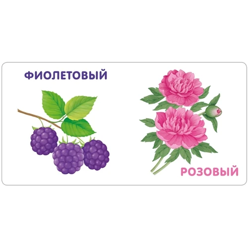 Цвета в природе. Моя самая первая книжка: Производитель Робинс