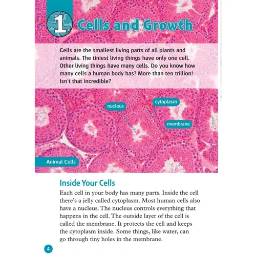 Oxford Read and Discover 6: Your Amazing Body: ISBN 9780194645584, 978-0-19-464558-4