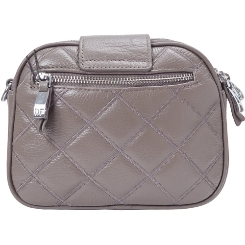 Жіноча сумка крос боді Der Flinger сіра (SHIDF5804-grey): Тип Сумки