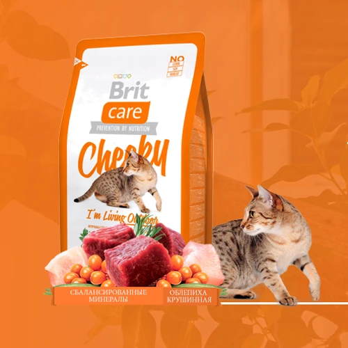 Сухой корм для кошек живущих на улице Brit Care Cheeky I am Living Outdoor 0.4 кг (8595602505685): Тип Сухой корм