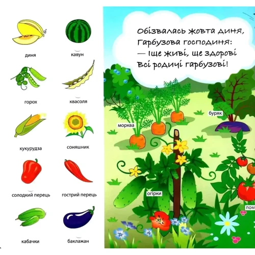 Заглянь у віконце. Ходити гарбуз містом: Виробник Книжкова Хата
