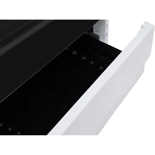 Плита комбинированная Hansa FCMW581009: Количество газовых конфорок 4