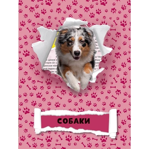 Домашні тварини: ISBN 978-966-942-976-6