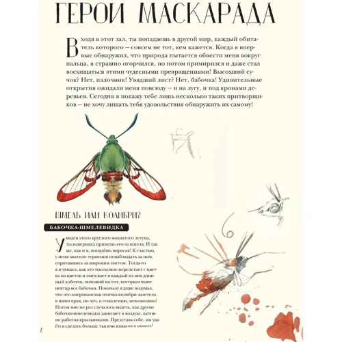 Франсуа Лассерр: Музей живих комах: Автор Франсуа Лассерр