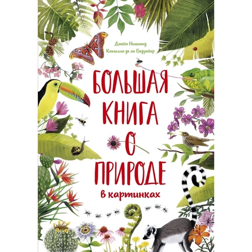 Камилла де ла Бедуайер: Большая книга о природе в картинках