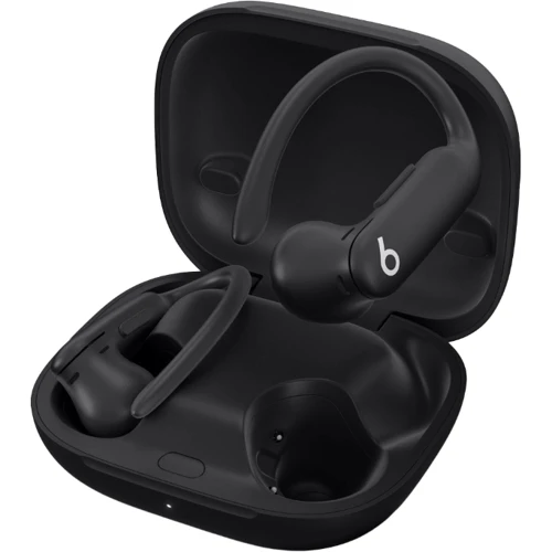 Наушники Beats by Dr. Dre Powerbeats Pro 2 Jet Black (MX723)