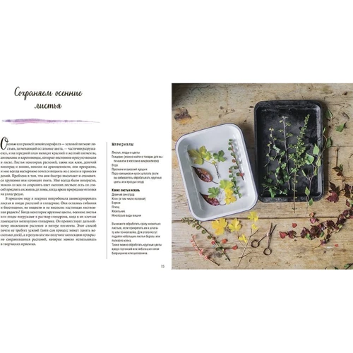 Эмма Митчелл: Коротаем зиму. Уютное руководство, как провести холодное время года: Обложка Твердая