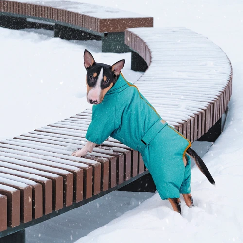 Комбинезон Pet Fashion Cold M такса бирюза (4823082425396): Обхват груди 50-62 см