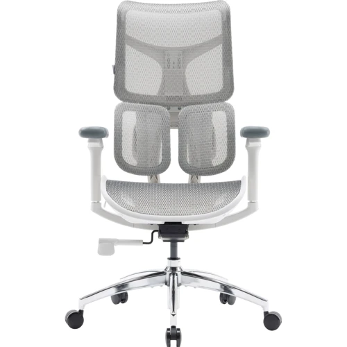 

Офисное кресло Sihoo Doro S100 Mesh White (S100-M302)