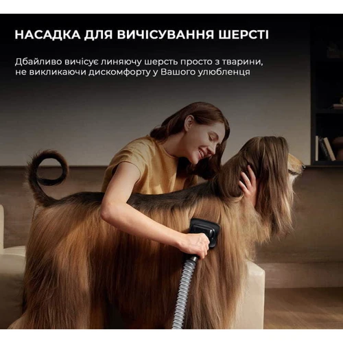 Пылесос Dreame Z40 Station (VZV33A)