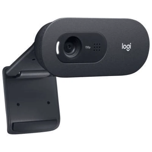 Logitech HD Webcam C505 (960-001364): Интерфейс подключения USB 2.0