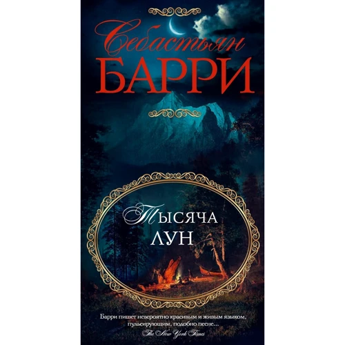Себастьян Барри: Тысяча лун: Количество страниц 320