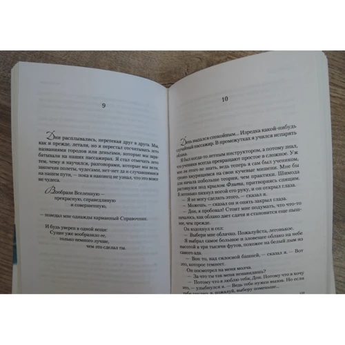 Чайка. Иллюзии. Карманный справочник мессии: Производитель София