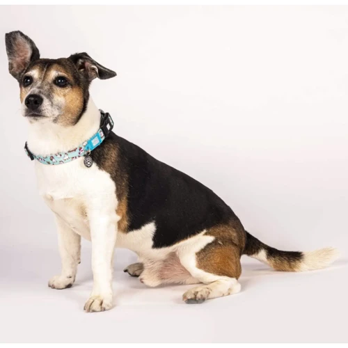 Ошейник Max & Molly Smart ID Collar - Unicorn/L для собак (4894512023086): Ширина 28 мм