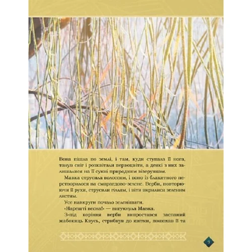 Мавка. Берегиня Лісу (за мотивами мультфільму): Кількість сторінок 192
