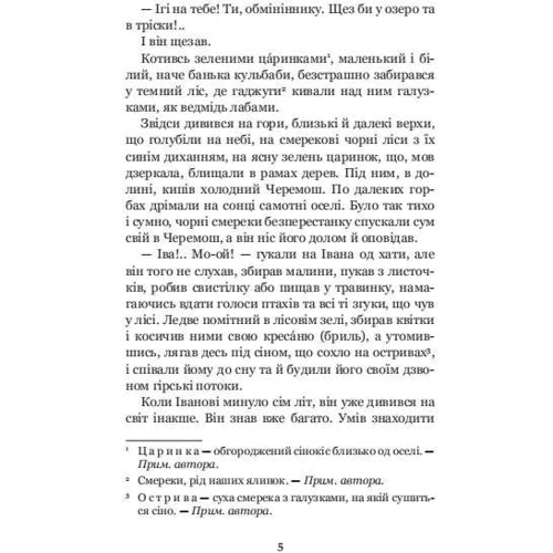 Михайло Коцюбинський: Тіні забутих предків Intermezzo: Кількість сторінок 96