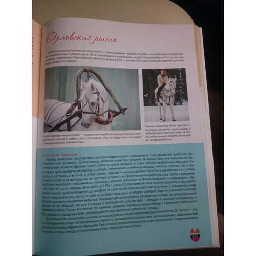 Анна Спектор: Лошади. Большая энциклопедия: ISBN 978-5-17-105084-9