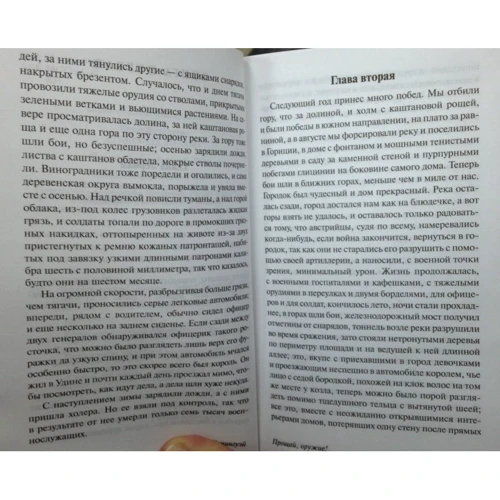 Прощай, оружие!: Количество страниц 352