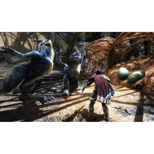 Kingdoms of Amalur Re-Reckoning (PS4): Серия приставки PlayStation 4